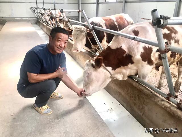 头条号赚钱太难了
:头条赚钱真的很难吗？