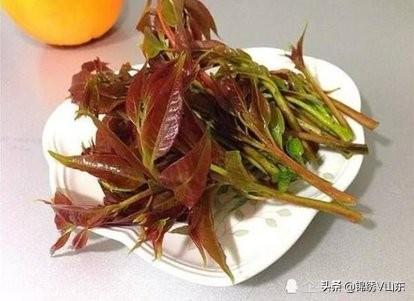 易芽
:当下是吃春(芽)菜的季节，都有些什么好吃的做法？