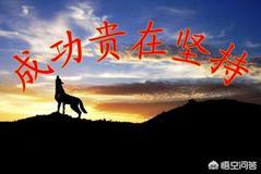 自媒体专业
:专业做自媒体和做IT哪个比较有前途？
