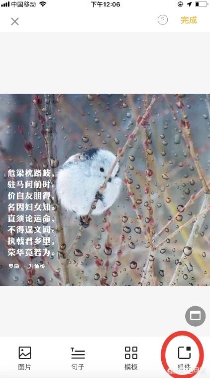 做照片的网站
:在线设计图片的平台有哪些好的推荐？
