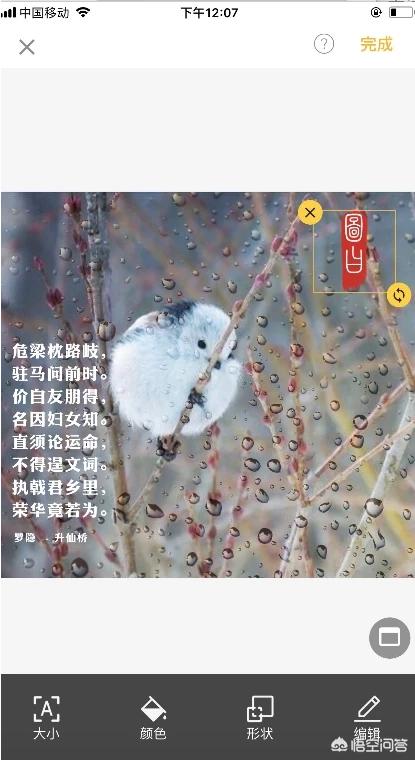 做照片的网站
:在线设计图片的平台有哪些好的推荐？