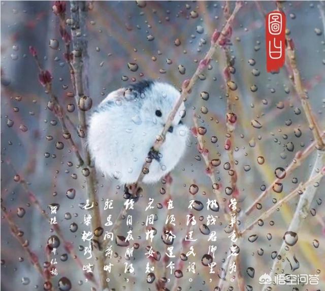 做照片的网站
:在线设计图片的平台有哪些好的推荐？