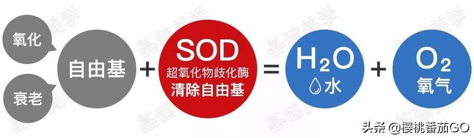 大宝广告语
:大宝SOD蜜为什么这么便宜？
