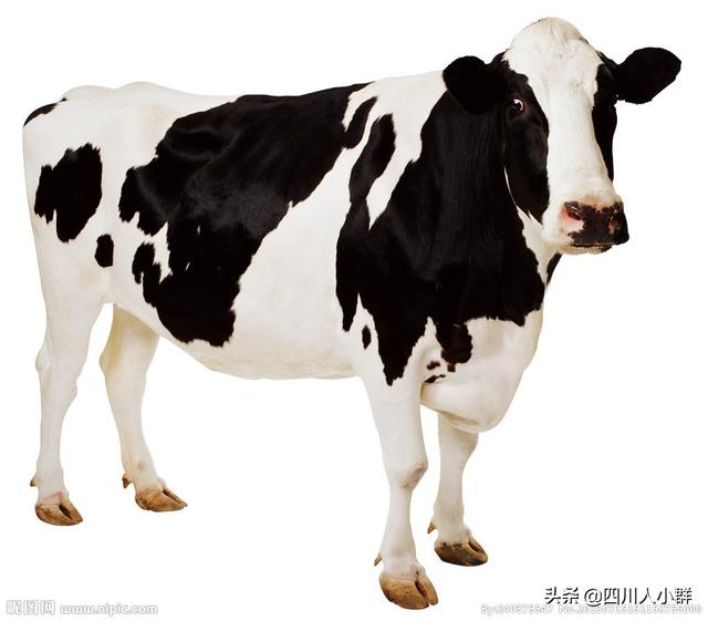 圣牧有机奶质量怎么样
:圣牧牛奶怎么样？