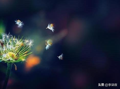 文案素材网站
:有什么很短的宝藏文案？