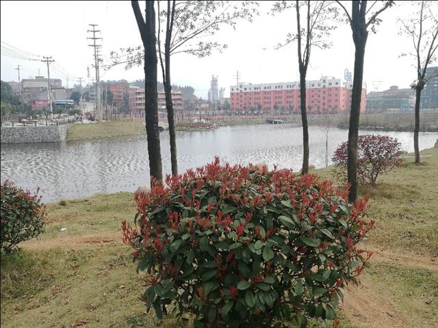两个人可以玩什么
:有哪些两个人在家可以玩的好游戏值得推荐？