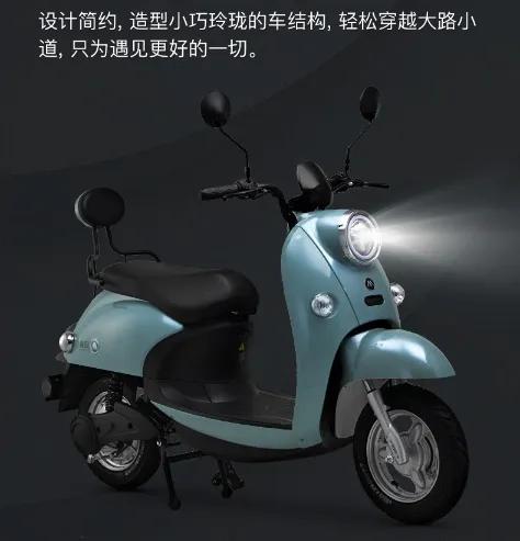 金箭电动车排行前几名
:电动车品牌排名哪个好？