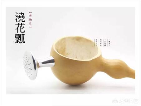 创艺产品
:你见过哪些很有创意的文创产品？