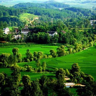 景点推广
:我是乡村旅游景点的负责人，请问旅游景点怎样在线上推广引流？