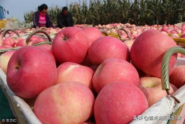 电商文案
:怎样编一个好的文案，把苹果卖出去？