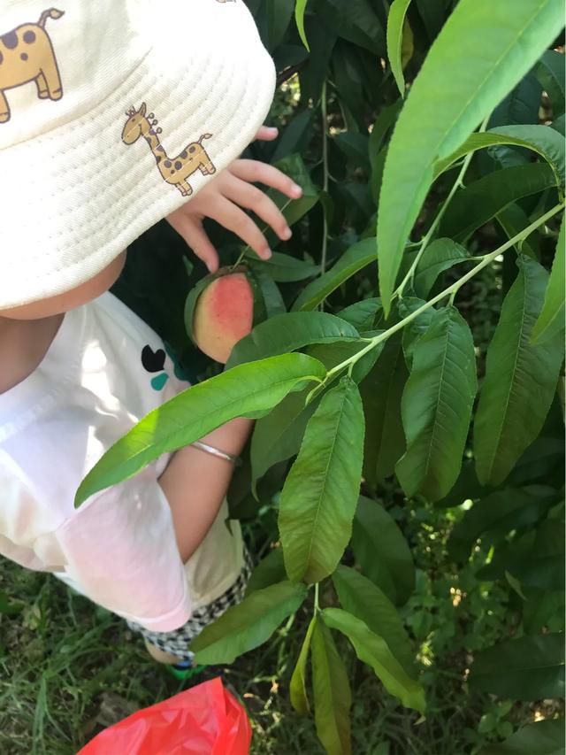 微商的经营模式
:微商该如何运营？