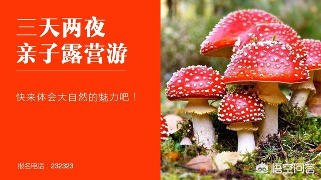 色相渐变
:PPT配色难怎么办？
