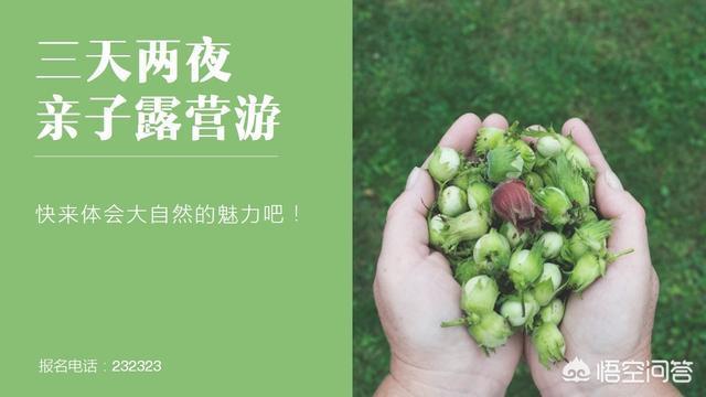 色相渐变
:PPT配色难怎么办？