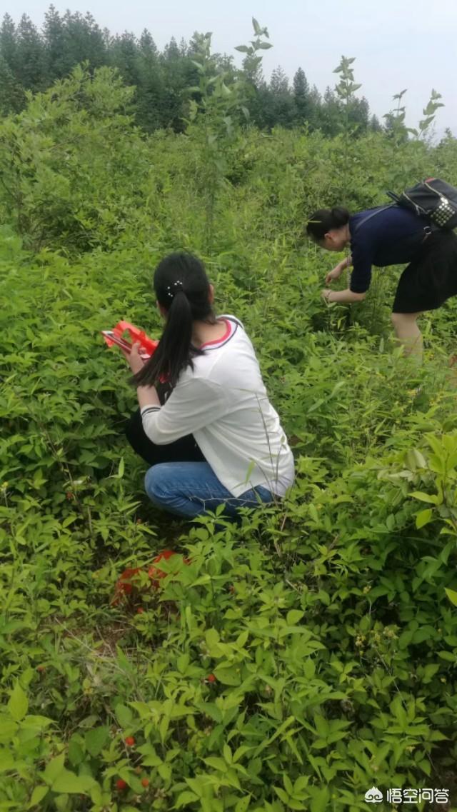 怎么寻找客源
:本人想养一批土鸡，因为第一次做没有客源，如何寻找客源？