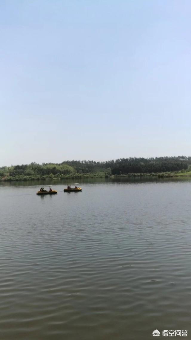 怎么寻找客源
:本人想养一批土鸡，因为第一次做没有客源，如何寻找客源？