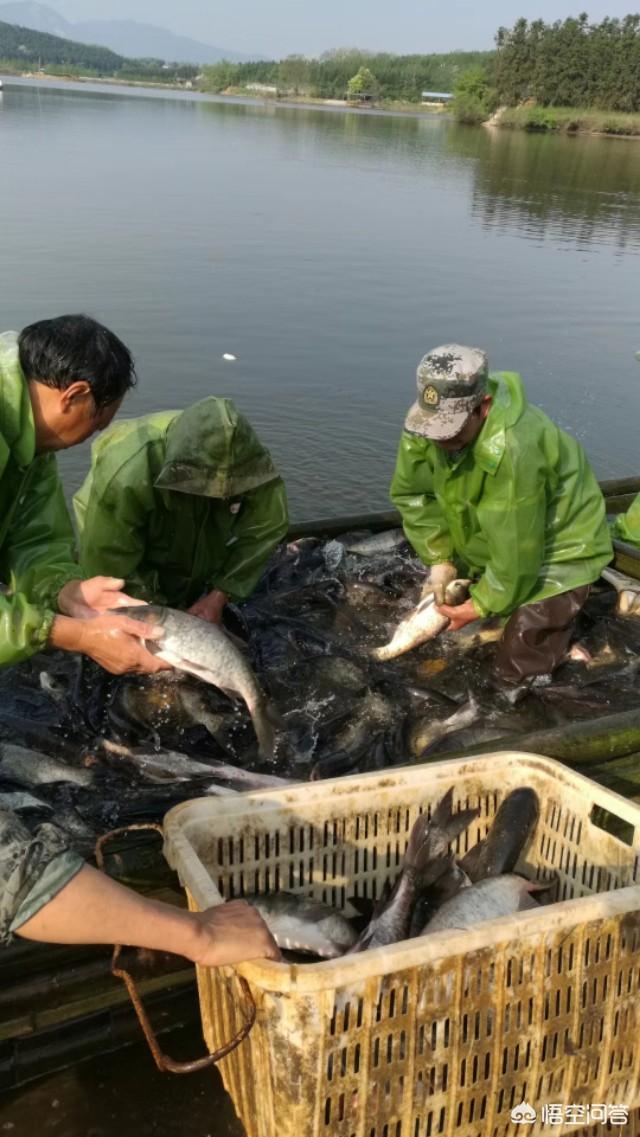 怎么寻找客源
:本人想养一批土鸡，因为第一次做没有客源，如何寻找客源？
