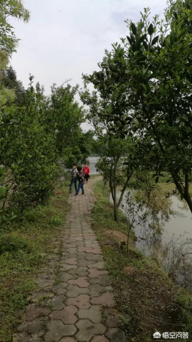 怎么寻找客源
:本人想养一批土鸡，因为第一次做没有客源，如何寻找客源？
