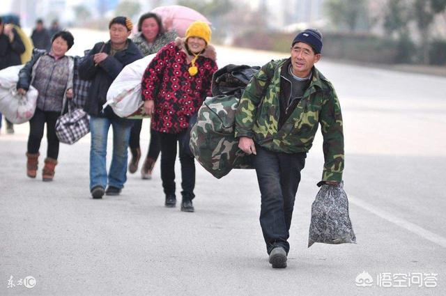 农民挣钱
:农民干什么最挣钱？