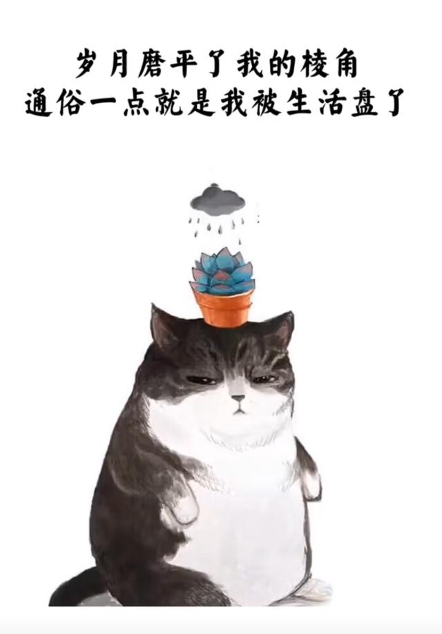 保温杯文案
:有没有什么超级适合发朋友圈的搞笑文案语录推荐？