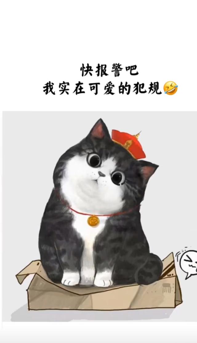 保温杯文案
:有没有什么超级适合发朋友圈的搞笑文案语录推荐？