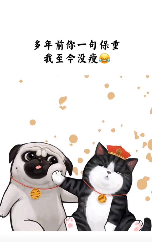 保温杯文案
:有没有什么超级适合发朋友圈的搞笑文案语录推荐？