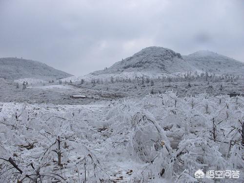 2008年大事件
:2008年除了汶川大地震，还发生了哪些事情？