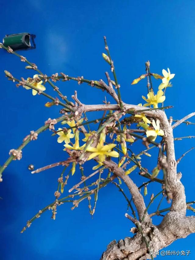 推广赚钱
:做小说推广真的能赚钱么？