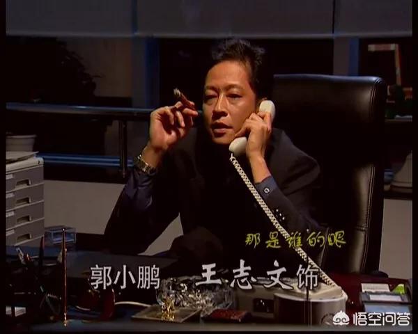 王志文主演电视剧
:大家对王志文哪部电视剧中的演技最为欣赏肯定？