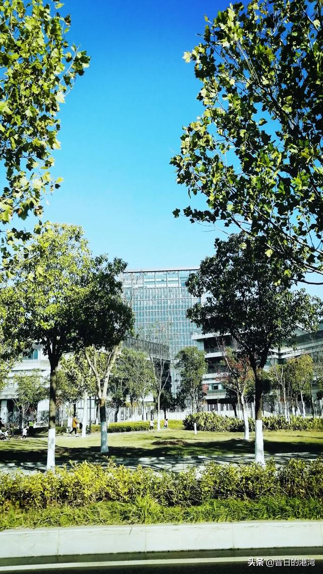 文章标题大全
:如果为你之前的人生写一篇总结文章，你会起什么标题？为什么？