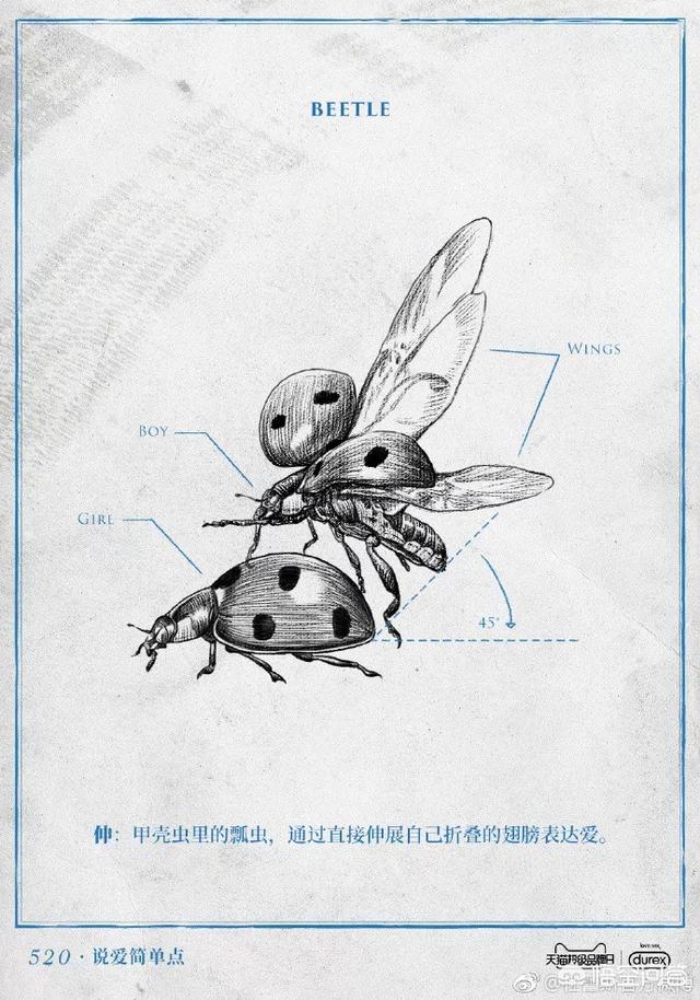有创意的广告文案
:你见过最有创意的广告文案是怎么样的？
