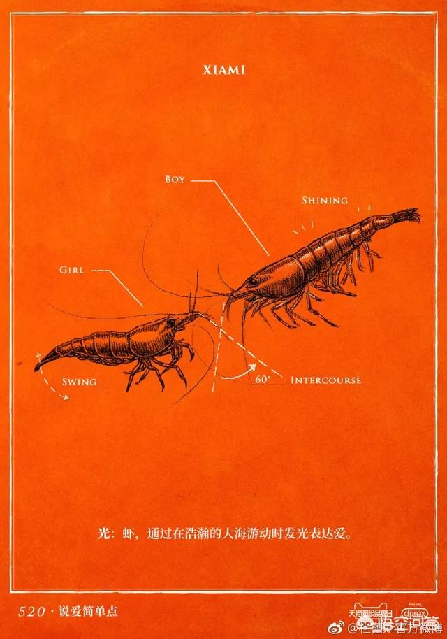 有创意的广告文案
:你见过最有创意的广告文案是怎么样的？