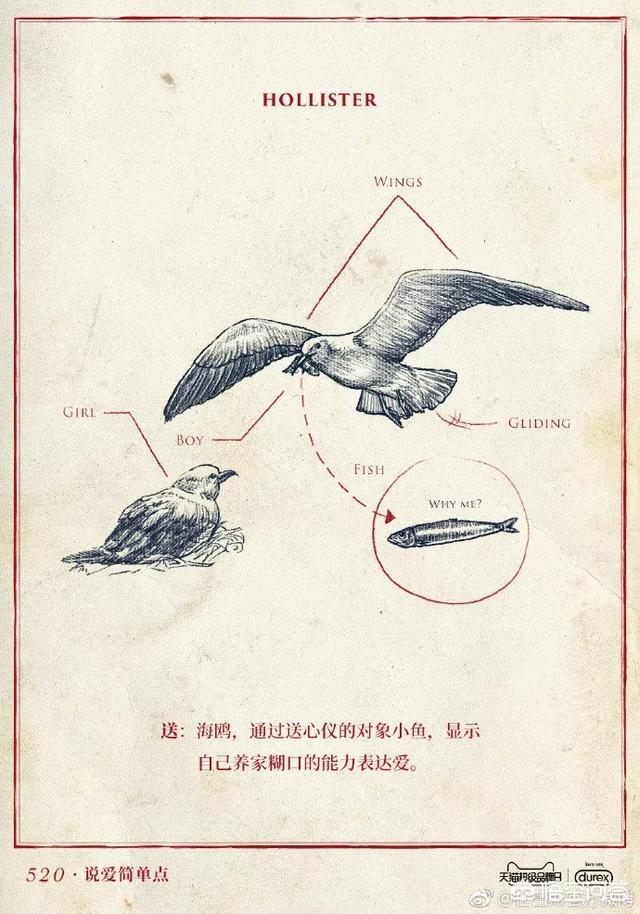 有创意的广告文案
:你见过最有创意的广告文案是怎么样的？