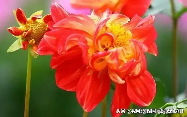 酷怎么读
:“放弃不难，坚持一定很酷”。请问：怎样理解这个“酷”字？