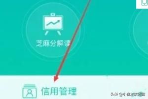 互刷信誉平台
:支付宝中的信用互查在哪？