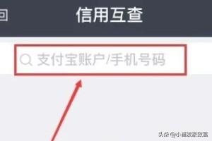 互刷信誉平台
:支付宝中的信用互查在哪？