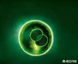 赫莲娜怎么样
:号称贵妇级护肤品的赫莲娜好用吗？
