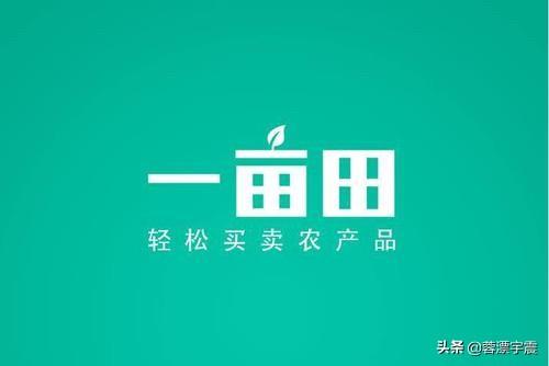 什么网能开店
:现在哪个平台的电商适合个人开店？