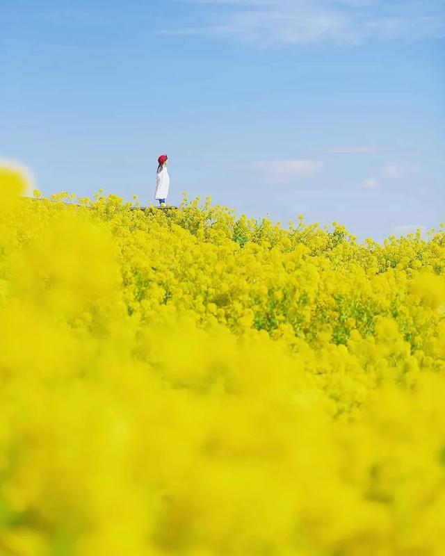 精彩文案
:有没有三观很正的文案？