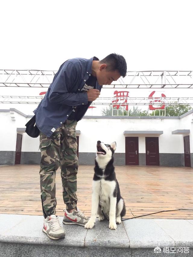 宠物店一年利润怎么样
:开一家宠物店的利润有多少？