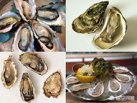 海怎么读
:花蛤、蛏子、蚬子、蚶子、蛤蜊、海瓜子、贝壳都有什么区别？
