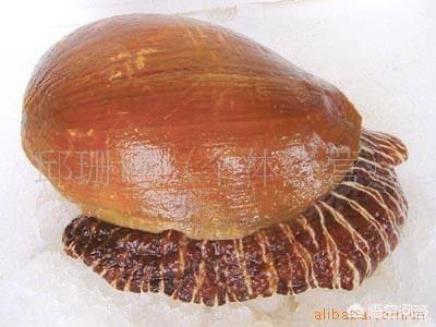 海怎么读
:花蛤、蛏子、蚬子、蚶子、蛤蜊、海瓜子、贝壳都有什么区别？