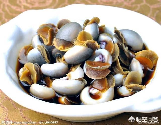 海怎么读
:花蛤、蛏子、蚬子、蚶子、蛤蜊、海瓜子、贝壳都有什么区别？