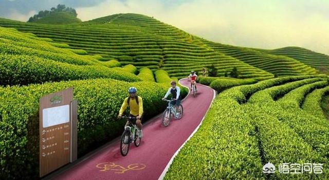 好项目致富
:在东北地区农村，除了发展种植业和养殖业，还有什么比较好的致富项目可以参考？