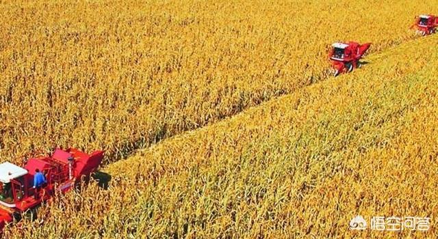 好项目致富
:在东北地区农村，除了发展种植业和养殖业，还有什么比较好的致富项目可以参考？