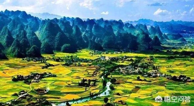 好项目致富
:在东北地区农村，除了发展种植业和养殖业，还有什么比较好的致富项目可以参考？