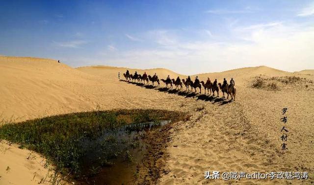 广告式式营销
:广告和宣传有什么区别？