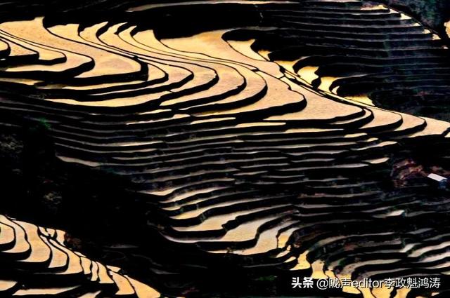 广告式式营销
:广告和宣传有什么区别？