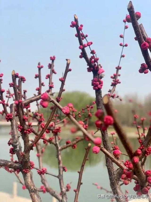 广告式式营销
:广告和宣传有什么区别？