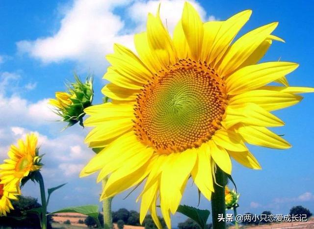 捞女
:到底该做一个独立的女性还是做一个捞女？