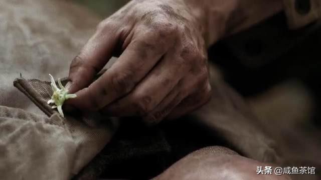 铁血杀神
:美剧《兄弟连》最让人震撼的剧情是哪一段？